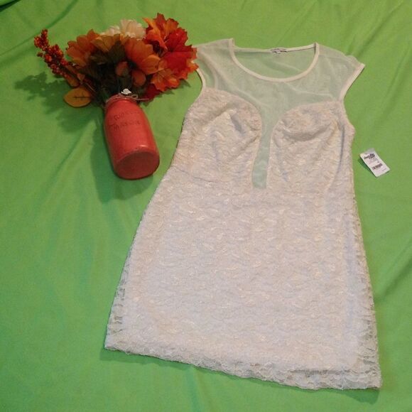 Ladies size x large mini lace dress in cream👗 - Picture 1 of 8